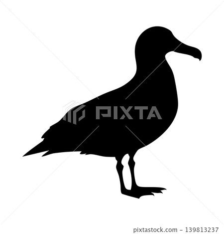 Albatross silhouette, alpha channel Albatross silhouette, alpha channel 139813237