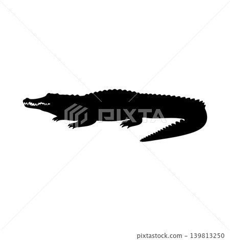 鱷魚輪廓,透明通道 鱷魚輪廓,透明通道 139813250