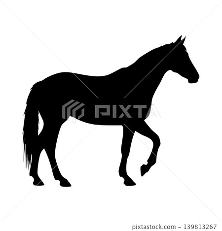 Horse silhouette, alpha channel Horse silhouette, alpha channel 139813267