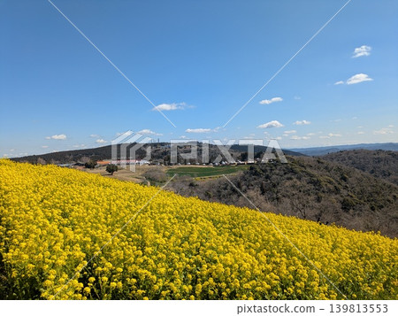 Rape field of superb view Rape field of superb view 139813553