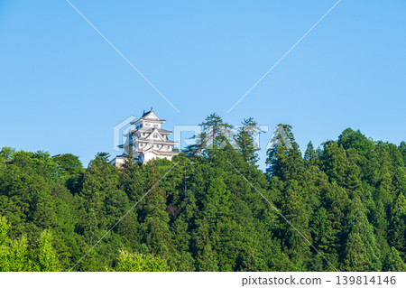 郡上八幡城 郡上八幡城 139814146