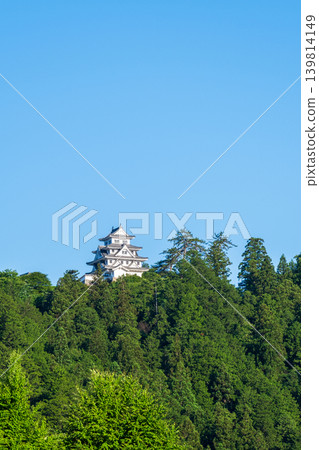 郡上八幡城 郡上八幡城 139814149