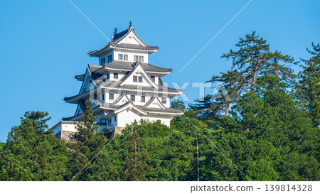 郡上八幡城 139814328