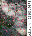 Red fallen leaves scattered on the cobblestones 139814673