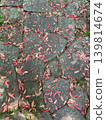 A landscape of red fallen leaves and moss scattered on cobblestones. 139814674