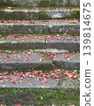 Red fallen leaves and green moss scattered on moss-covered stone steps 139814675