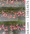 Red fallen leaves scattered on moss-covered stone steps 139814676