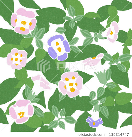 Hand-drawn flower illustration: Torenia 139814747