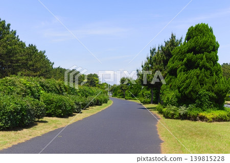 Along Kaihin-dori Avenue in Narashino City, Chiba Prefecture, May 2026 139815228