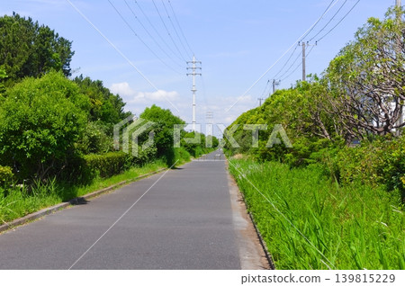 Along Kaihin-dori Avenue in Narashino City, Chiba Prefecture, May 2026 139815229