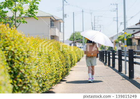 The back view of an elementary school student walking to school with a parasol. 139815249