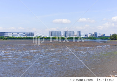 Yatsu Tidal Flat area, Narashino City, Chiba Prefecture, May 2026 Yatsu Tidal Flat area, Narashino City, Chiba Prefecture, May 2026 139815308