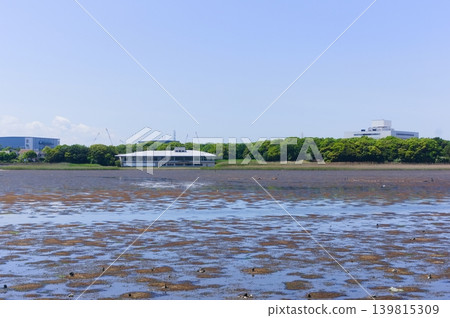 Yatsu Tidal Flat area, Narashino City, Chiba Prefecture, May 2026 Yatsu Tidal Flat area, Narashino City, Chiba Prefecture, May 2026 139815309