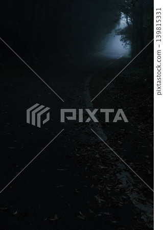forest road covered in fog forest road covered in fog 139815331
