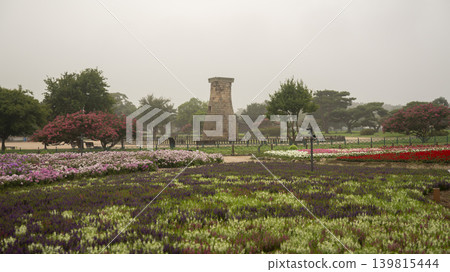 crape myrtle, zinnia crape myrtle, zinnia 139815444
