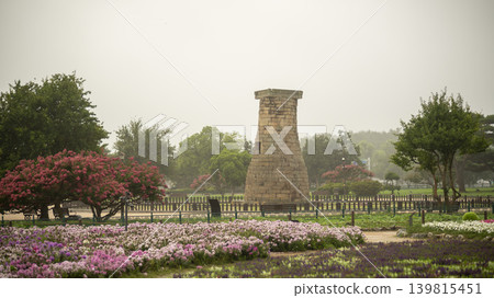 crape myrtle, zinnia crape myrtle, zinnia 139815451