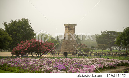 crape myrtle, zinnia crape myrtle, zinnia 139815452
