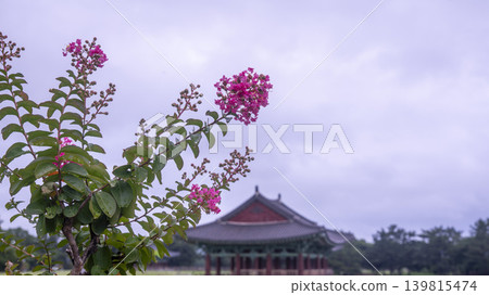 crape myrtle, zinnia 139815474