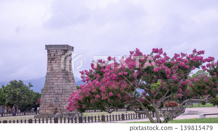 crape myrtle, zinnia 139815479