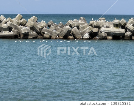 黑尾鷗鳴叫的大海(地點:富山縣浪川市浪川海濱公園展望台;拍攝時間:4月) 黑尾鷗鳴叫的大海(地點:富山縣浪川市浪川海濱公園展望台;拍攝時間:4月) 139815581