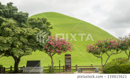 crape myrtle, zinnia crape myrtle, zinnia 139815621