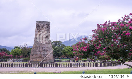 crape myrtle, zinnia crape myrtle, zinnia 139815649