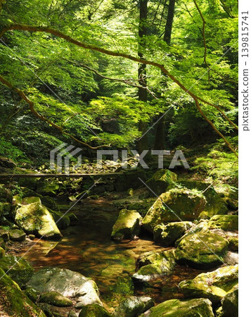 The beautiful clear stream of Akame Forty-Eight Waterfalls sparkles in the early summer light. The beautiful clear stream of Akame Forty-Eight Waterfalls sparkles in the early summer light. 139815741