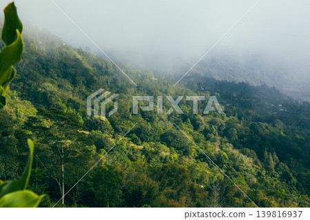 Green hills and mist cover the landscape in Kintamani Bali Green hills and mist cover the landscape in Kintamani Bali 139816937