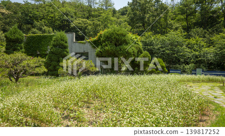 Bucheon Botanical Garden 139817252