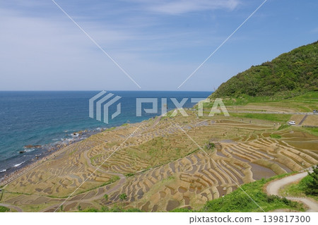 2023 年 5 月，水稻種植前白米千枚田梯田的景色。 139817300