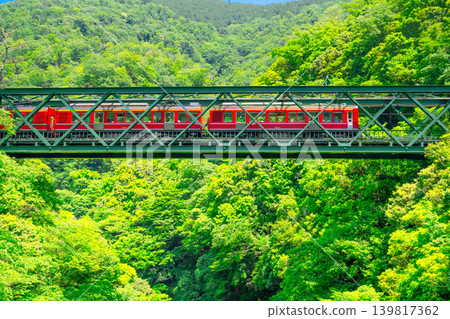 Hakone Tozan Railway's 1000 series train crosses the Hayakawa Bridge amidst the fresh greenery. Hakone Tozan Railway's 1000 series train crosses the Hayakawa Bridge amidst the fresh greenery. 139817362