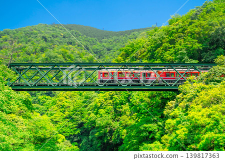 Hakone Tozan Railway's 1000 series train crosses the Hayakawa Bridge amidst the fresh greenery. Hakone Tozan Railway's 1000 series train crosses the Hayakawa Bridge amidst the fresh greenery. 139817363