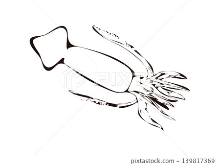 魷魚的寫實線條畫 魷魚的寫實線條畫 139817369