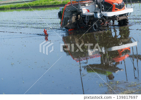 A scene of rice planting using a rice transplanter. A scene of rice planting using a rice transplanter. 139817697