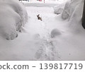 Snow and a Beagle 139817719