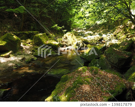 Early summer sunlight pours down into the deep green valley. The walking path is shimmering with dazzling, penetrating light on the green maple leaves. 139817879