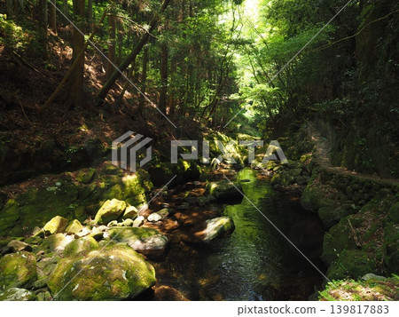 The depth of silence painted by light and shadow. A mystical riverside surrounded by moss-covered giant rocks and cedar forests. The depth of silence painted by light and shadow. A mystical riverside surrounded by moss-covered giant rocks and cedar forests. 139817883