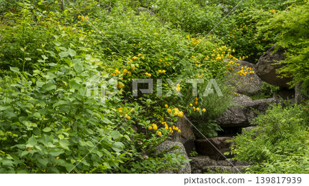 Nojeokbong Park 139817939