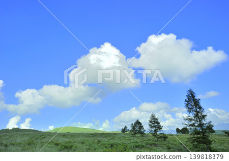 Kirigamine Plateau: Blue sky and clouds Kirigamine Plateau: Blue sky and clouds 139818379