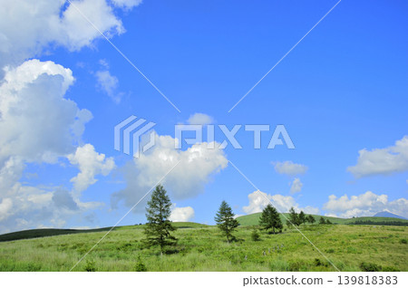Kirigamine Plateau: Blue sky and clouds Kirigamine Plateau: Blue sky and clouds 139818383