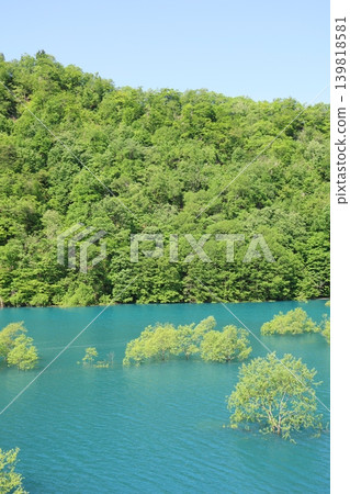 5 Submerged forests appear in the beautiful cobalt blue Akiogi Lake in Akita Prefecture 5 Submerged forests appear in the beautiful cobalt blue Akiogi Lake in Akita Prefecture 139818581