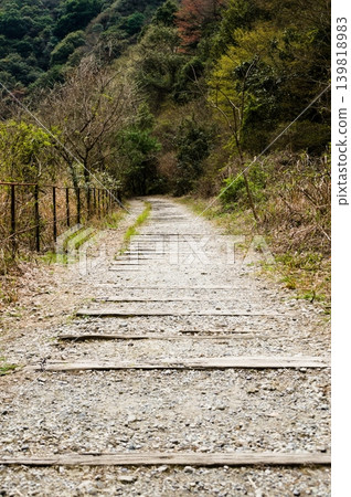 The old railway line surrounded by mountains in fresh greenery The old railway line surrounded by mountains in fresh greenery 139818983