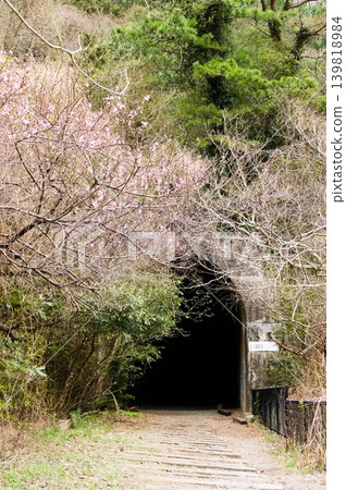 老舊的鐵路隧道，點綴著櫻花和綠植。 139818984