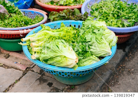 A close up view of fresh green lettuce heads displayed at a traditional street vegetable market stall in Hoi An ancient town Vietnam A close up view of fresh green lettuce heads displayed at a traditional street vegetable market stall in Hoi An ancient town Vietnam 139819347