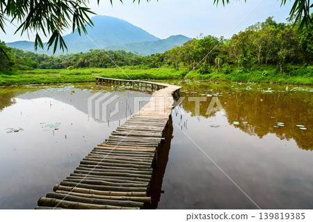 A traditional bamboo walkway spans across a scenic lotus pond near the ancient My Son sanctuary in Quang Nam province near Da Nang Vietnam A traditional bamboo walkway spans across a scenic lotus pond near the ancient My Son sanctuary in Quang Nam province near Da Nang Vietnam 139819385