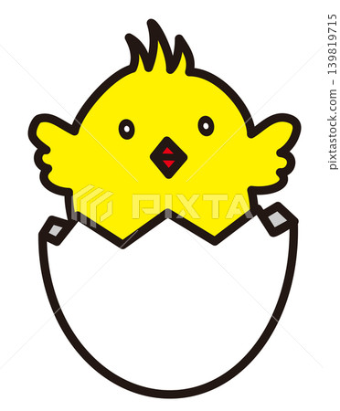 A chick that has emerged from its shell A chick that has emerged from its shell 139819715