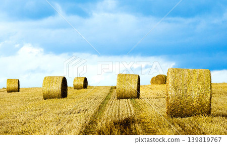A scene of straw bales scattered on the hillsides of Biei, Hokkaido in summer. A scene of straw bales scattered on the hillsides of Biei, Hokkaido in summer. 139819767
