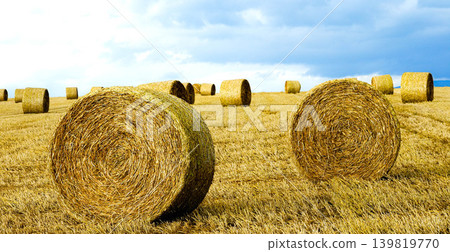 A scene of straw bales scattered on the hillsides of Biei, Hokkaido in summer. A scene of straw bales scattered on the hillsides of Biei, Hokkaido in summer. 139819770