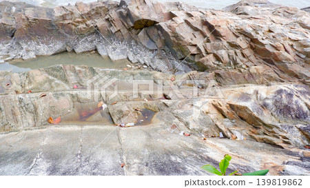 Big Coastal Rocks And Forest Vegetation Under Clouds Big Coastal Rocks And Forest Vegetation Under Clouds 139819862