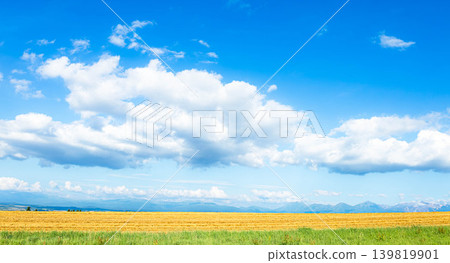 A view of the blue sky and white clouds from a hilltop in Biei, Hokkaido, during the summer. A view of the blue sky and white clouds from a hilltop in Biei, Hokkaido, during the summer. 139819901